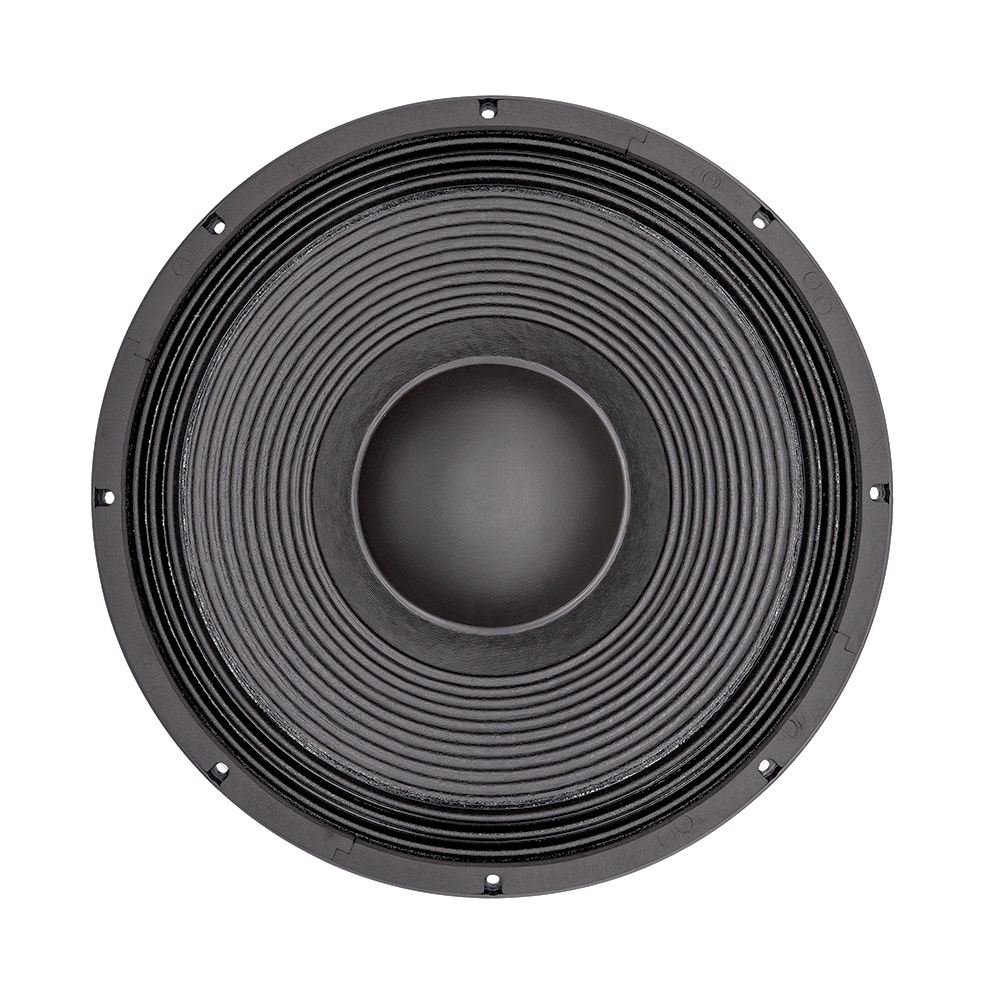 21'' Professional Audio System - đánh giá và giá Speakers