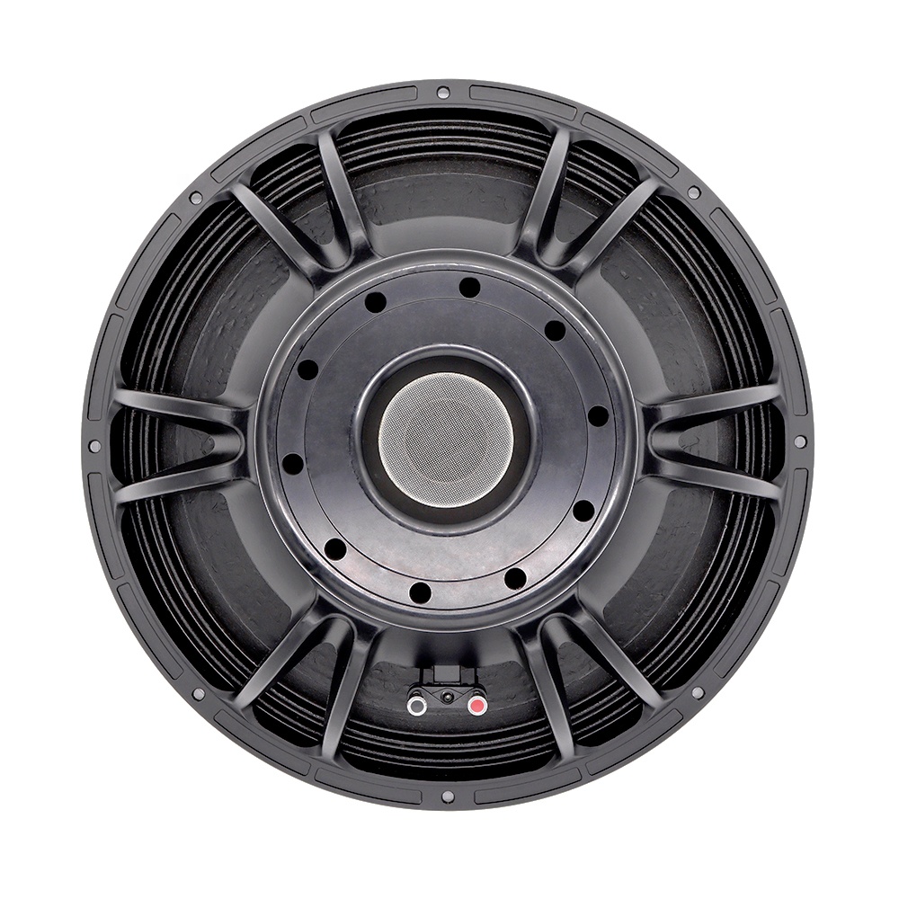 21'' Professional Audio System - đánh giá và giá Speakers